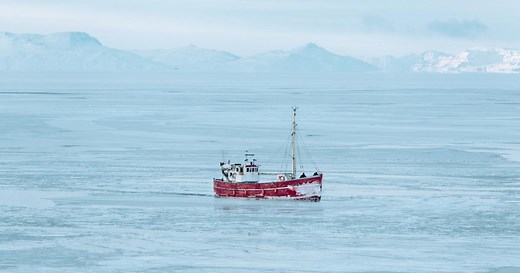 Tours in Disko Bay – Icebergs, Icefjord & Arctic Culture