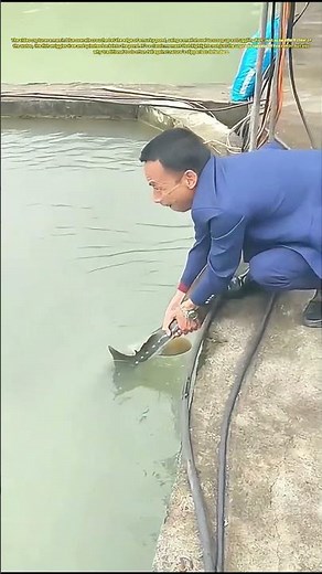 Catching Fish with a Shovel: Why This Slippery Escape Happens Every Time