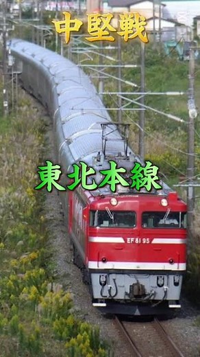 最強在来線VS最強新幹線#鉄道 #電車 #比較 #鉄道比較 #強さ比べ #東海道線 #東北新幹線
