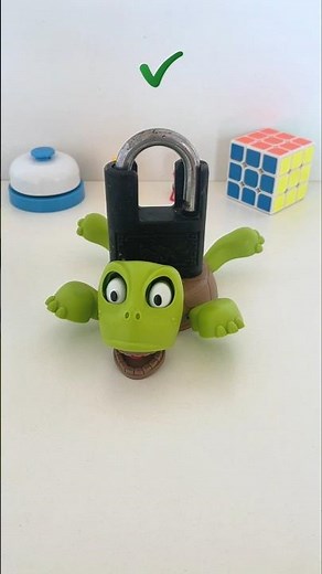 What should I put on top of the turtle next? #turtle #coaster