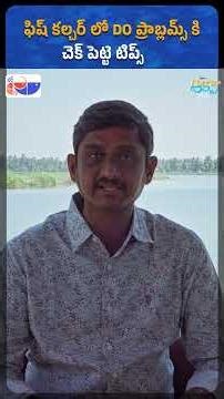 Fish Culture DO Problems & Smart Farmer Tips | Fishery News Telugu