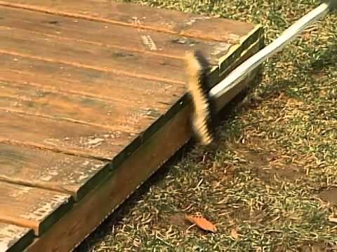 How to Clean and Brighten a Deck