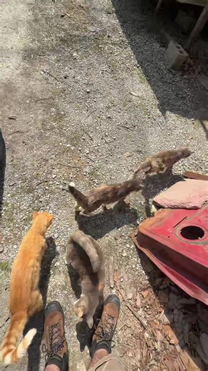 John Sutton Jr (@johnsuttonjrll)’s videos with original sound - John Sutton Jr