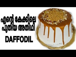 Daffodil cake recipe എന്റെ കേക്കിലെ പുതിയ താരം . how to make Daffodil cake | michis kitchen |