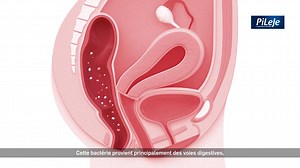 51K views · 1.4K reactions | Une cystite se produit lorsque des bactéries pénètrent dans l'urètre et dans la vessie, entraînant une inflammation et une infection. ‍❤️‍ 擄 櫓  ❤️  #grossesse #fertilité #accouchement #allaitement #drskhiri Www.drskhiri.com | Docteur Ahmed SKHIRI Gynecologue | Facebook