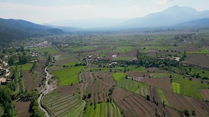 Lush Trees Within Farming Environment | Free Stock Video Footage