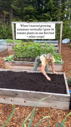 Learn Gardening | Sasa on Instagram: "I truly believe we should plan for vertical growing as a big part of our backyard gardening plans. Then the rest of the garden falls in place. Creating statement pieces and long lasting structures to support more food Having your food off the ground allows you to harvest easier, less pests, plant WAY more and double your yields. For example I used to grow 8 tomato plants an 8x4 bed with metal cages NOW I grow 16 indeterminate tomato plants in one 8x4 bed but