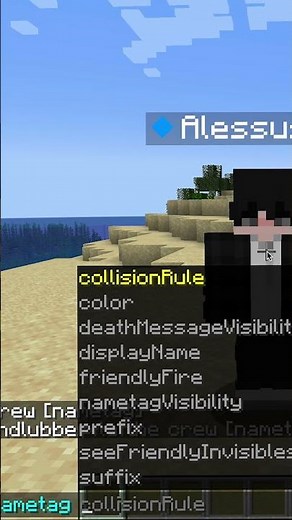 How to hide player names in Minecraft Java! #minecraft #minecraftshorts #tutorial #command