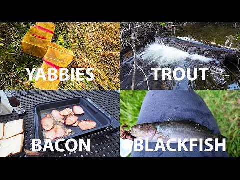 An full afternoon fishing and yabbying with Robbie Alexander (long fishing video)