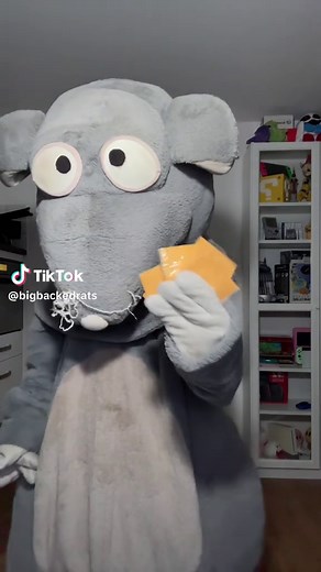 I Got Hella Money: Fun TikTok Memes and Trends