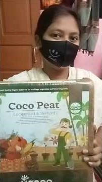 How to Wash Cocopeat Brick Properly | Step by Step #shorts#ytshorts#reels#gardeningreels#plantshorts