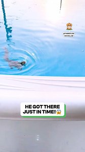 The poor squirrel was exhausted 😔 | Fluffy Animals