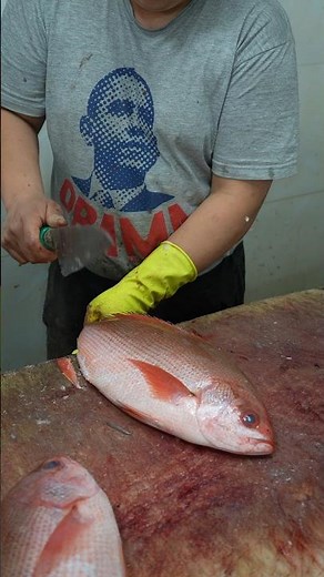 Red Snapper Cleaning Tutorial by a Proud Young Fan of the President