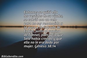 Explicación Génesis 38:14. 'Entonces se quitó ella los vestidos de su viudez, se cubrió con un velo para no ser reconocida y se puso a la entrada de Enaim, junto al camino de Timnat, pues veía que Sela había crecido y que ella no le era dada por mujer.' - BibliaBendita