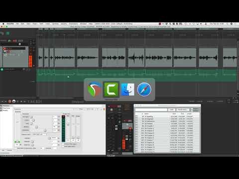 Audio for Authors | Reaper Room Tone (18)