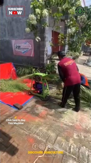 Mini Portable Chaffcutter Machine