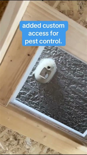 Custom Shed Built On-Site with Pest Control Access | Florida Shed Builder