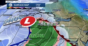 WATCH: Robins playing in the snow in metro Detroit