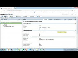 Create Repository Service & Integration Service in Informatica