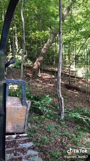 #fyp #logging #skidder #dozer #johndeere