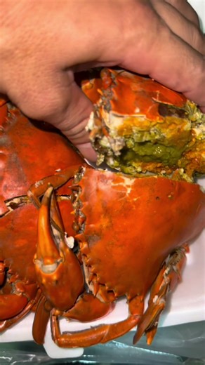 Phần nào là gạch non của con cua