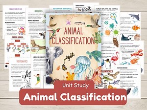 Animal Classification Unit Study Worksheets, Activities, With Classes of Vertebrates and Invertebrates, Animal Diets Homeschool Science - Etsy