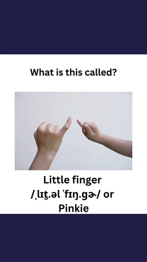 part of the hand #basicenglishquiz #englishvocabulary