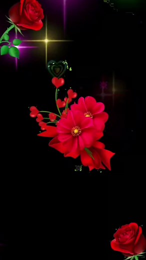 Beautiful Red Roses Animated Visuals