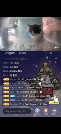 #purrr @purrrr_app_us #fyp #CapCut