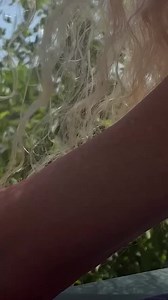 ▶️ Box of Rocks - Box of Rocks 3