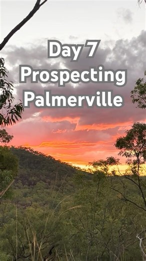 Day seven prospecting Palmerville #aussiegold #metaldetecting