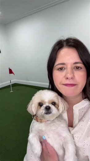 Stella’s fits if she were invited to Augusta. #augusta #golf #masters #brysondechambeau #dogsoftiktok #outfit | That dogstella