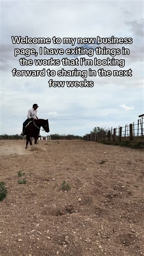 #cowpony #cuttinghorses #ranchhorses