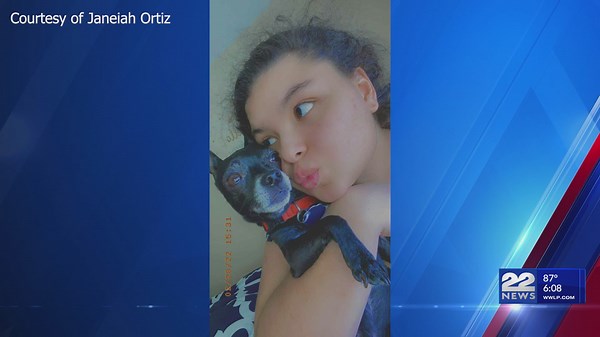 Dog found in bag on Boston Road in Springfield; Owner speaks out