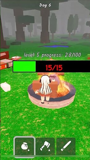 The Art of Firewood: How to Collect the Perfect Firewood for Campfire