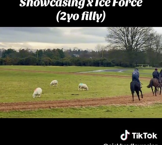 2yo fillies back out after their Christmas break!