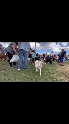 The Quack Pack USA on Reels