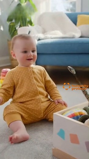 Snake Hiding Inside Toy Box | Nina Devereaux