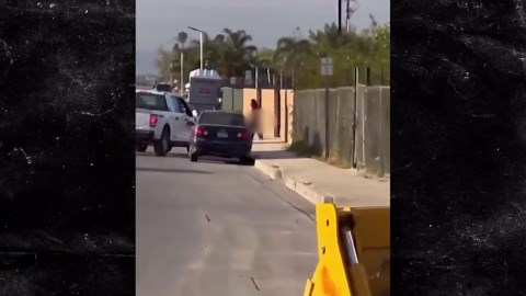 California Man Arrested After Carrying Around, Biting Severed Human Leg