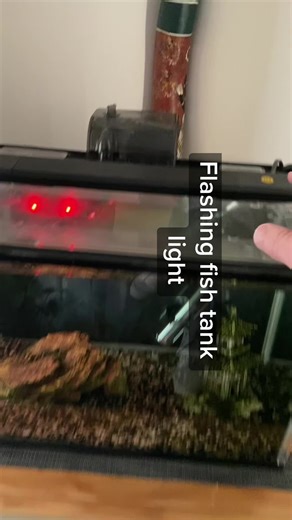 Flashing Fish Tank Light: Troubleshooting Guide