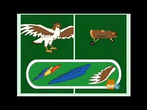 Go Diego Go Bird Plane