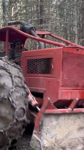 138K views · 1K reactions | Timberjack 730 logging #skidder #timberjack #detroitdiesel #logging #loggingvideos | Madden Fuller | Facebook