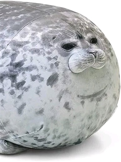 Retro's Fat seal #fyp #robloxfyp #fisch #seal #meme