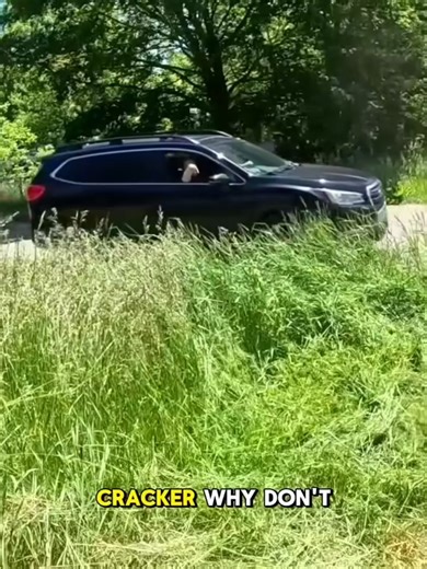 I Tried to Help an Old Man - The Neighbor's #eact..#lawncareusa #cleaninggardentools #angryneighbor