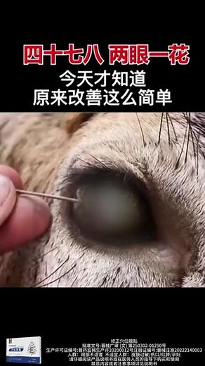眼睛视物模糊，怕光，易疲劳？这是眼睛发出的信号，来试试这个方法！