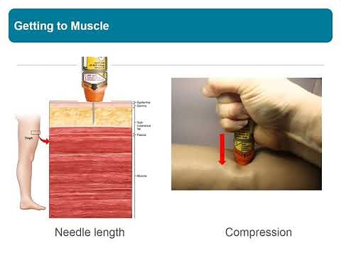 Auto-injector Needle Length and Dose