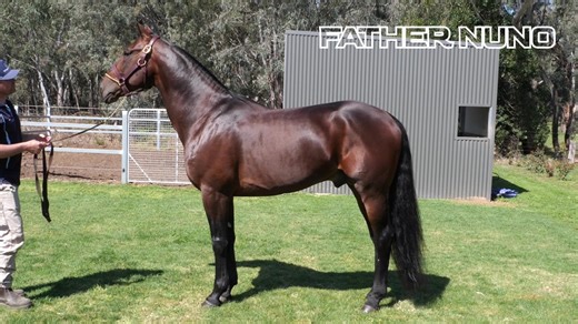 New Stallion News !!! Jake Stockton from Wingate Farm Standardbred Stud joins me to highlight the farms two new season sires. Father Nuno full brother to Captaintreacherous and Fast As The Wind by Cantab Hall who trotted 1.52.2 join Be Happy Mach and Tintin in America for the 2024/25 season. To contact the farm visit www.wingatefarm.com.au or call Jake 0428 527 998 Harness Breeders Victoria Harness Breeders NSW Harness Racing NSW | Campbell’s Comments