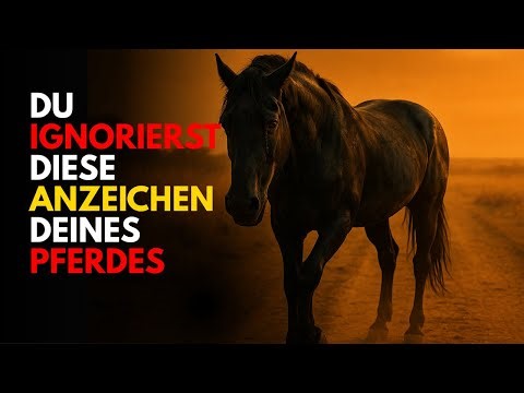 7 STARKE ZEICHEN, mit denen dein PFERD mit dir SPRICHT und du es NICHT MERKST!