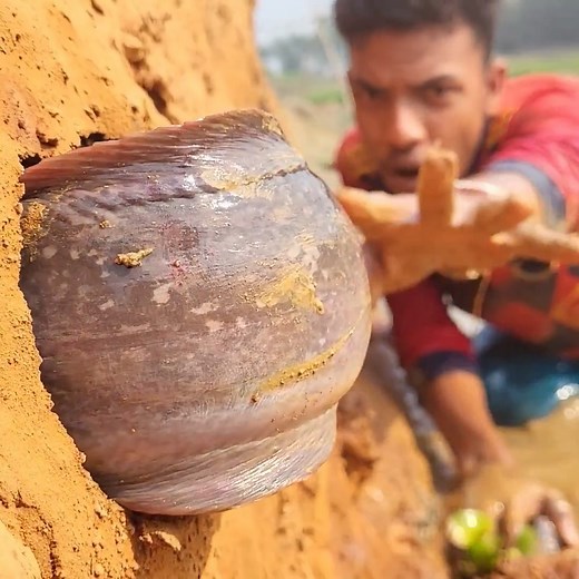 7.5K views · 32 reactions | Unbelivable big catfish comeout from mud hole #fishing #video #reels | Fish CatchUp | Facebook