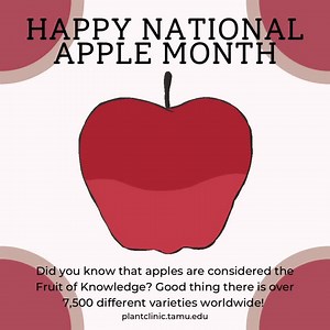 October is National Apple Month! Celebrate the end of apple season by going apple picking at a local orchard. You can also celebrate by planting your own apple tree or even just enjoying your favorite variety! #nationalapplemonth #apples #plantclinic #extensionlife #extPLPM #txextension | Texas Plant Disease Diagnostic Lab | Facebook